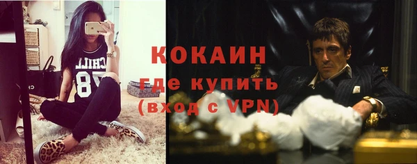 прущий лед Алзамай