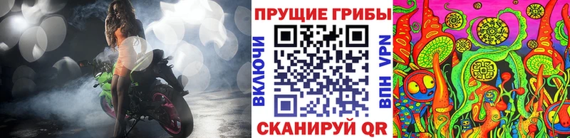 Псилоцибиновые грибы Psilocybine cubensis  наркотики  Адыгейск 